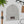 Load image into Gallery viewer, AE86 JDM Cuffed Beanie